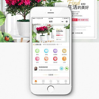 酉阳门店微商城小程序开发