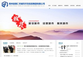 酉阳城市开发投资集团有限公司