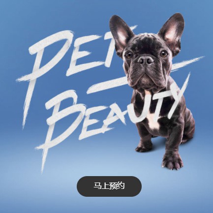 酉阳宠物中心小程序开发